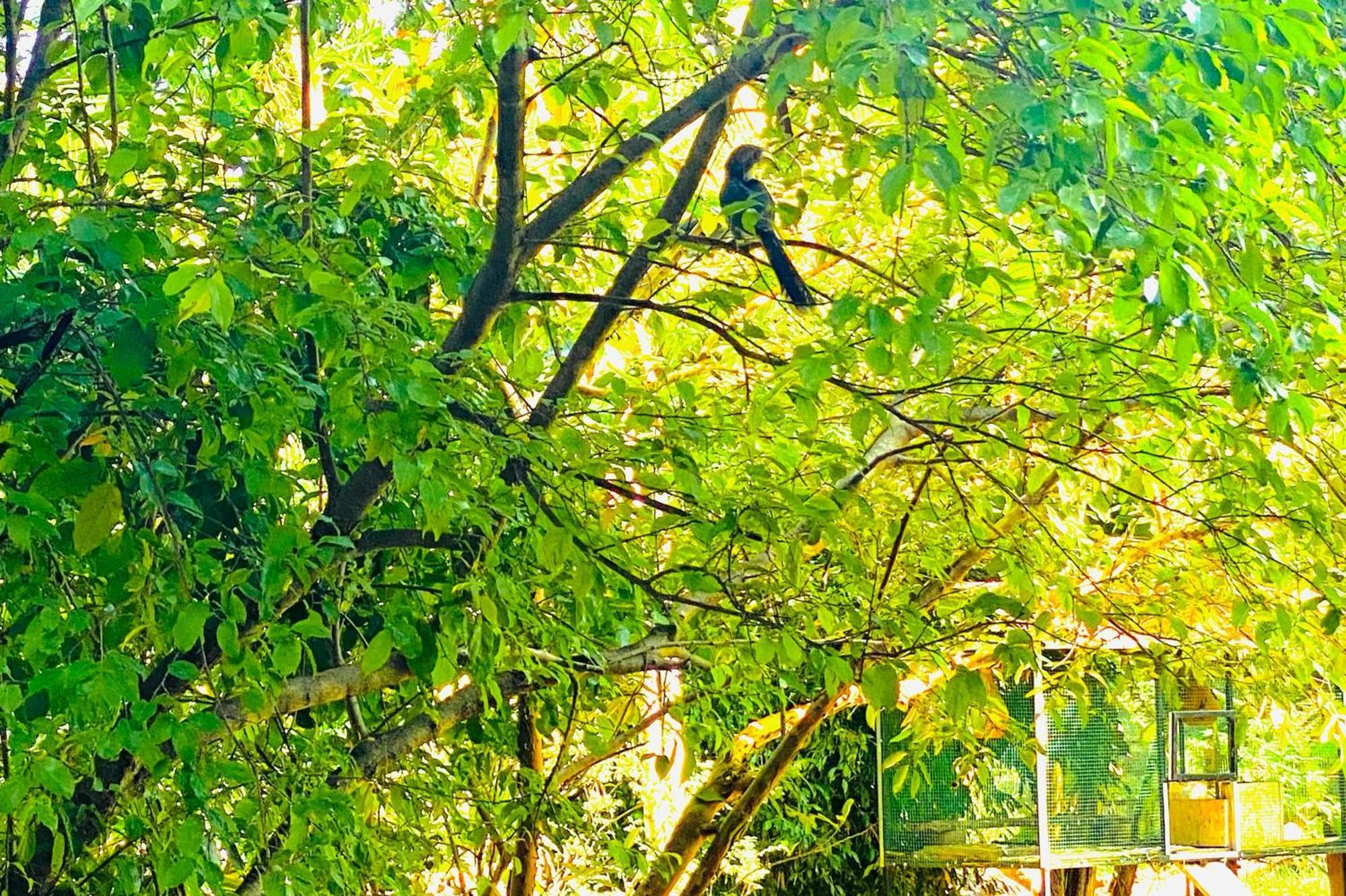 Gamagedara Resort Dambulla Exterior photo